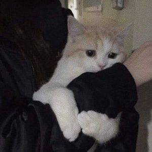 Meet your Posher, Hoàng